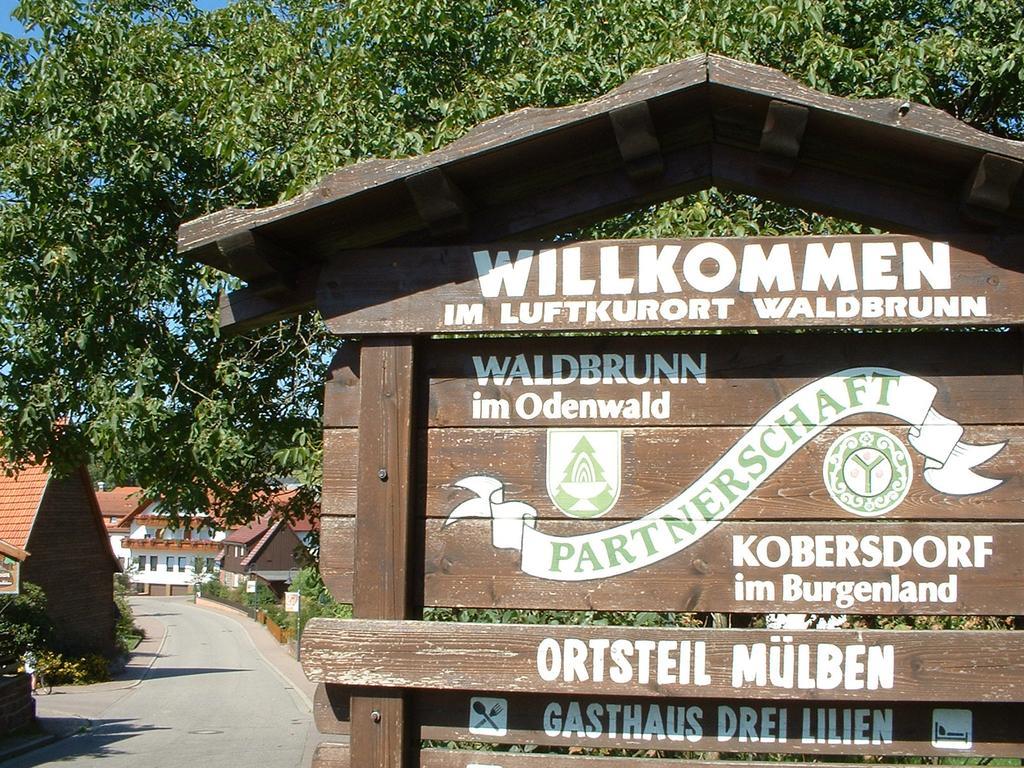 Hotel Drei Lilien Waldbrunn (Baden-Wurttemberg) Exterior foto